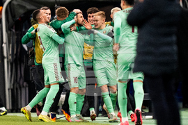 Denmark Belarus World Cup Soccer