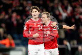 Denmark Belarus World Cup Soccer