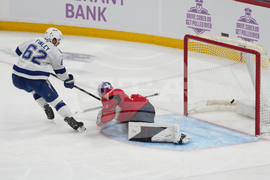 Lightning Panthers Hockey