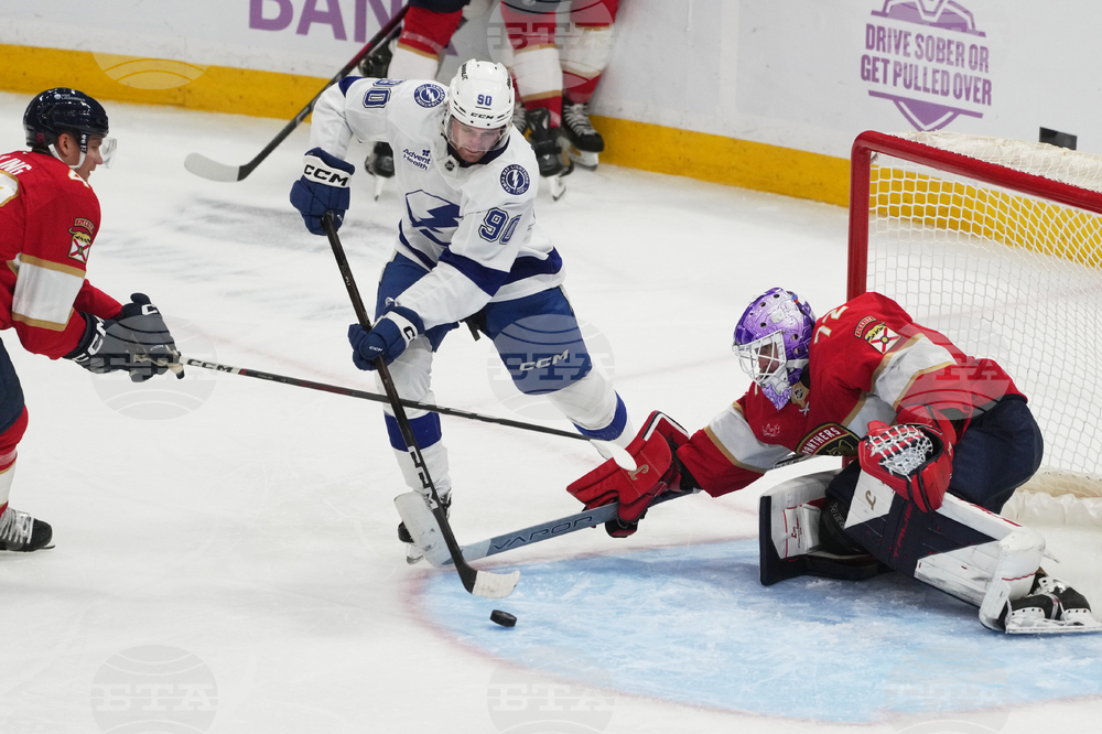 Lightning Panthers Hockey