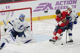 Lightning Panthers Hockey