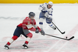 Lightning Panthers Hockey