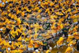 Utah Baylor Football