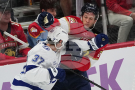 Lightning Panthers Hockey