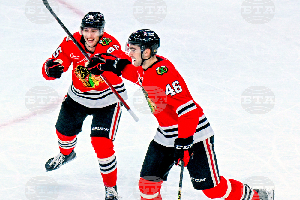 Maple Leafs Blackhawks Hockey