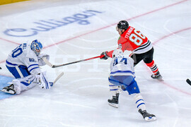 Maple Leafs Blackhawks Hockey