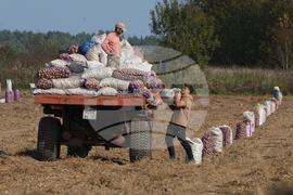 Russia Economy Explainer