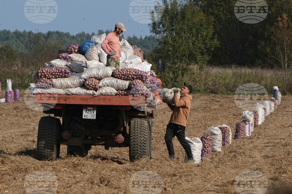 Russia Economy Explainer