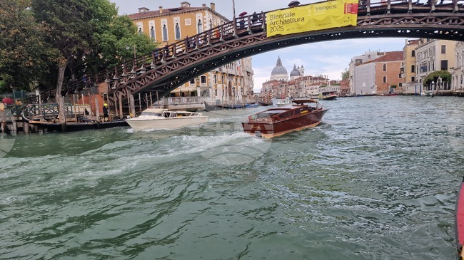 В 198 дни Венецианското архтектурно биенале изследва как различните форми на интелигентност могат да преосмислят изградената среда