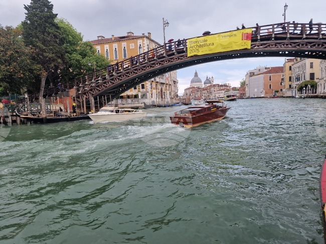 В 198 дни Венецианското архтектурно биенале изследва как различните форми на интелигентност могат да преосмислят изградената среда