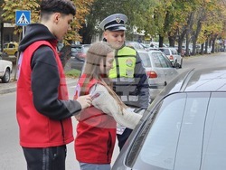 Русе - пътна безопасност - кампания