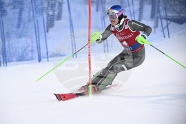 Finland Alpine Skiing World Cup