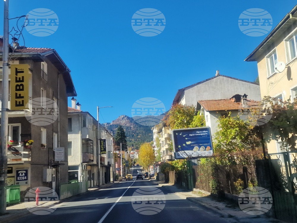 В област Смолян обявените в Бюрото по труда вакантни позиции са 304, 19 от тях са за специалисти с висше образование