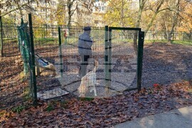 Кучета - паркове - разпоредби