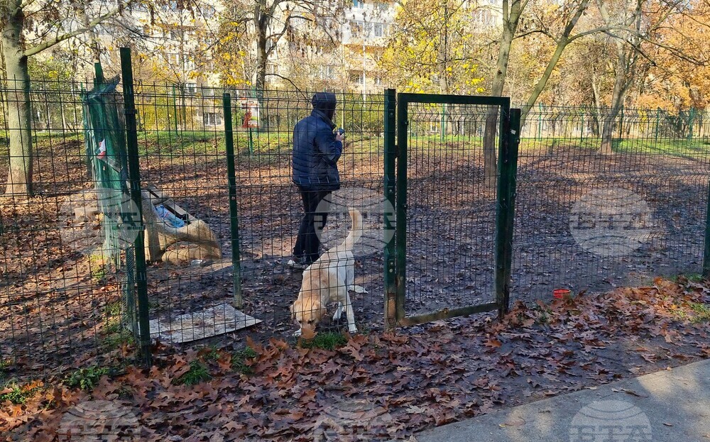 Кучета - паркове - разпоредби