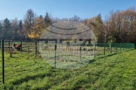 Кучета - паркове - разпоредби