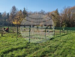 Кучета - паркове - разпоредби