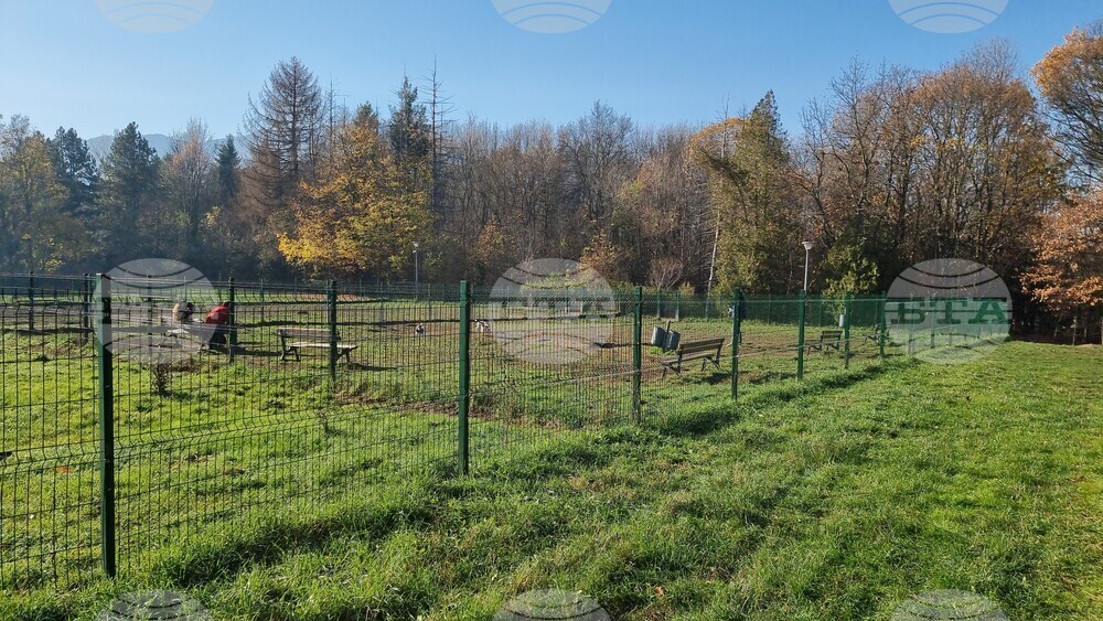 Кучета - паркове - разпоредби