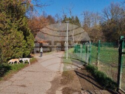 Кучета - паркове - разпоредби