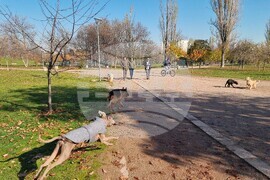 Кучета - паркове - разпоредби