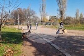 Кучета - паркове - разпоредби
