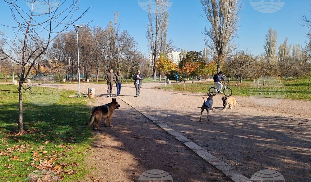 Кучета - паркове - разпоредби