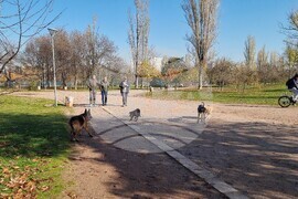 Кучета - паркове - разпоредби