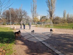 Кучета - паркове - разпоредби