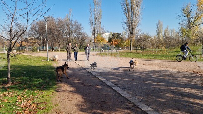 В паркове, градинки и междублокови пространства кучетата следва да бъдат водени на повод, напомнят от Столичния инспекторат