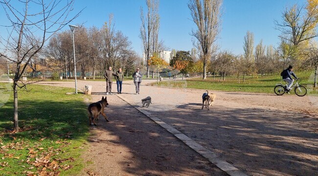 В паркове, градинки и междублокови пространства кучетата следва да бъдат водени на повод, напомнят от Столичния инспекторат
