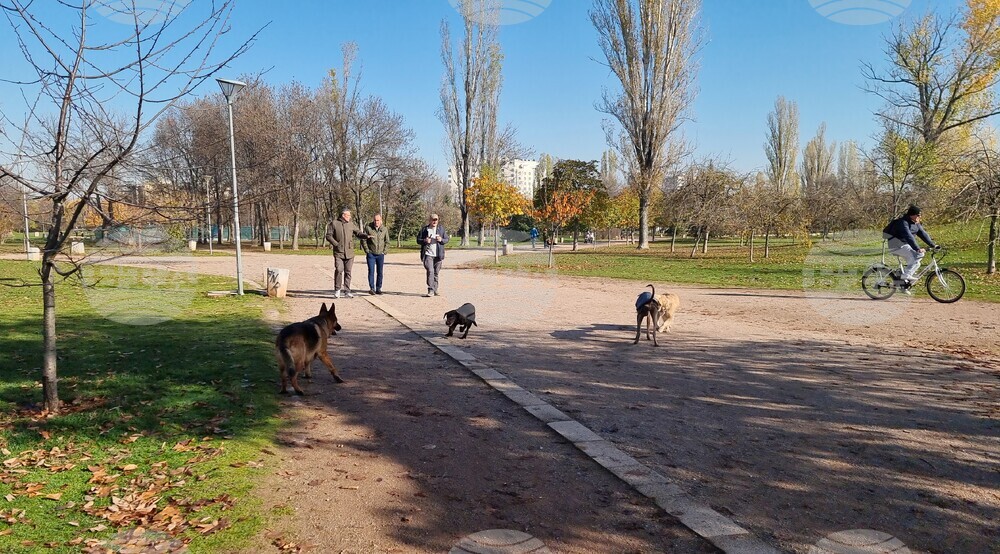 Кучета - паркове - разпоредби