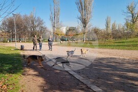 Кучета - паркове - разпоредби