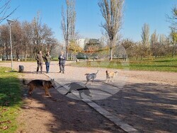 Кучета - паркове - разпоредби