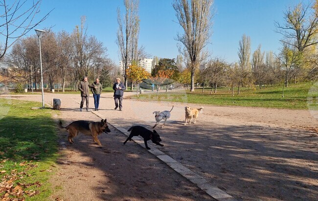 Кучета - паркове - разпоредби