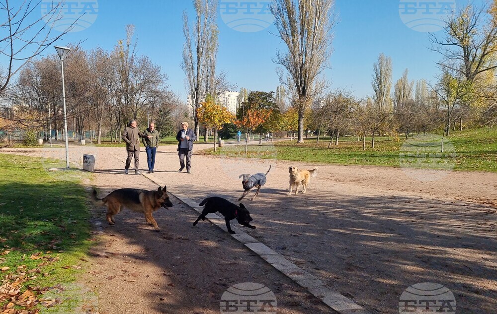 Кучета - паркове - разпоредби