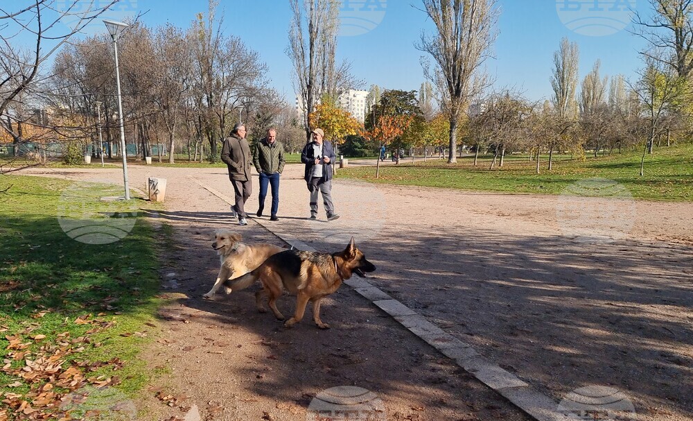 Кучета - паркове - разпоредби