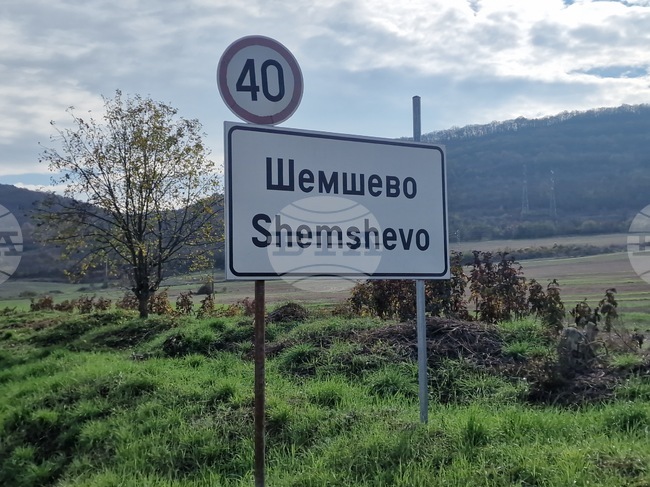 През изминалата година в Общинския приют за бездомни кучета във Велико Търново са обгрижени и кастрирани близо 300 животни