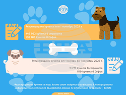 Регистрирани кучета