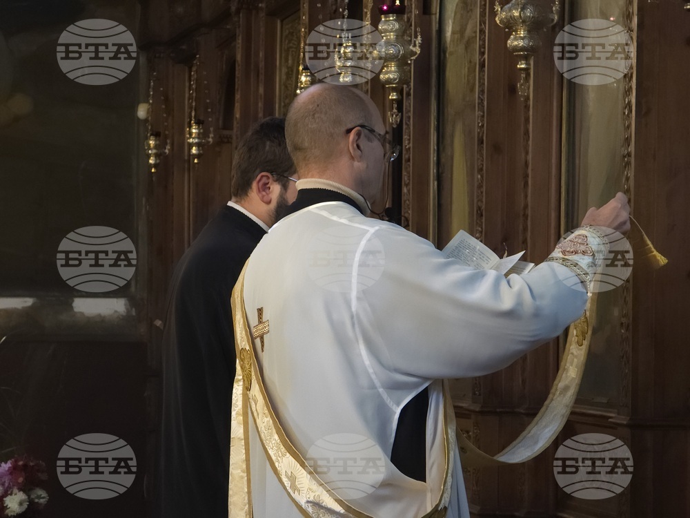 Видин - митрополит Пахомий - света литургия