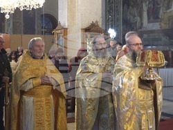 Видин - митрополит Пахомий - света литургия