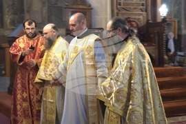 Видин - митрополит Пахомий - света литургия