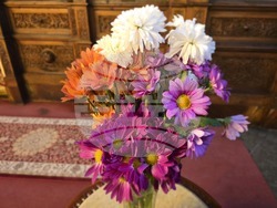 Видин - митрополит Пахомий - света литургия