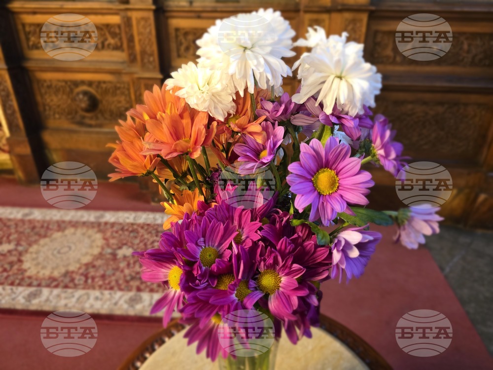 Видин - митрополит Пахомий - света литургия