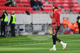 Hungary Ireland WCup Soccer