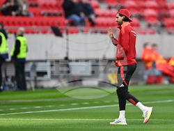 Hungary Ireland WCup Soccer