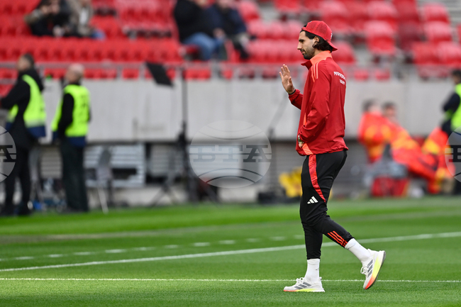 Hungary Ireland WCup Soccer