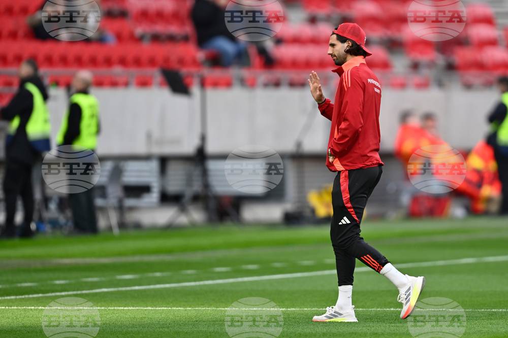 Hungary Ireland WCup Soccer