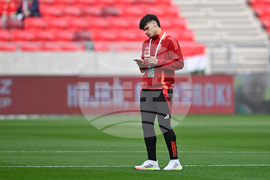 Hungary Ireland WCup Soccer