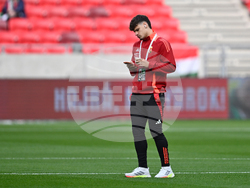 Hungary Ireland WCup Soccer