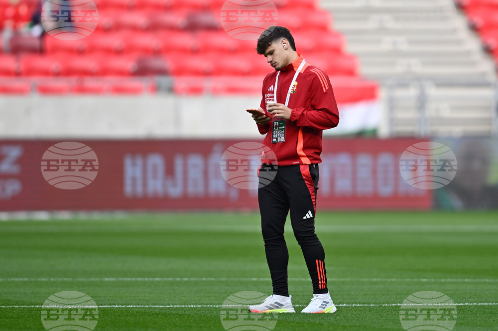 Hungary Ireland WCup Soccer